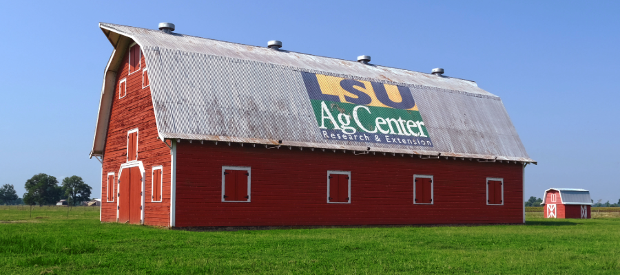 Red River Research Station Barn.